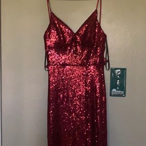 Sequence Dress never worn